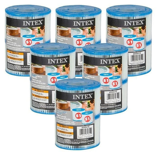 Lot de 12 cartouches de filtration Intex S1